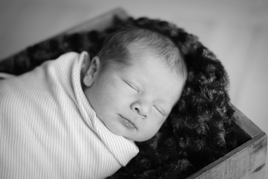 Davis – Newborn Photographer